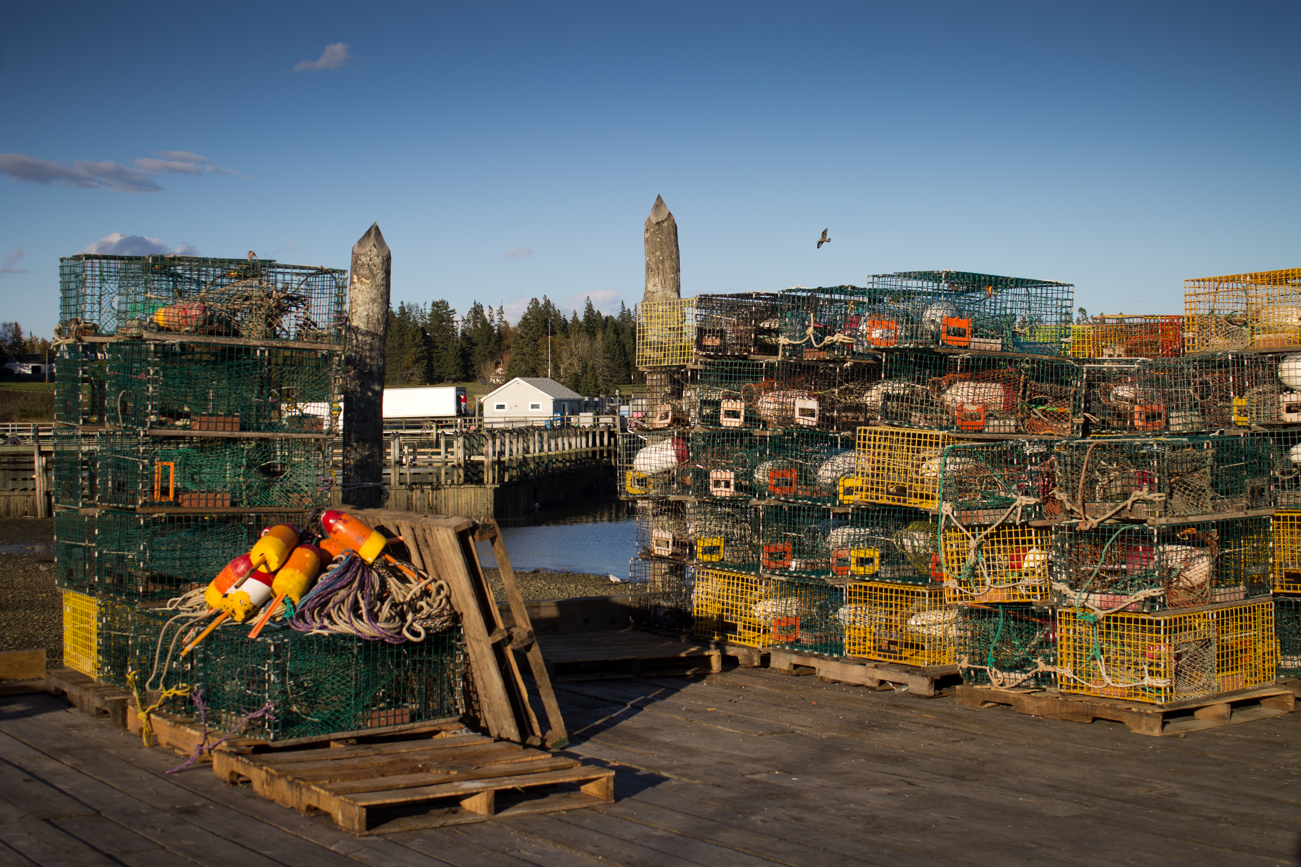 Lobster Traps, Maine