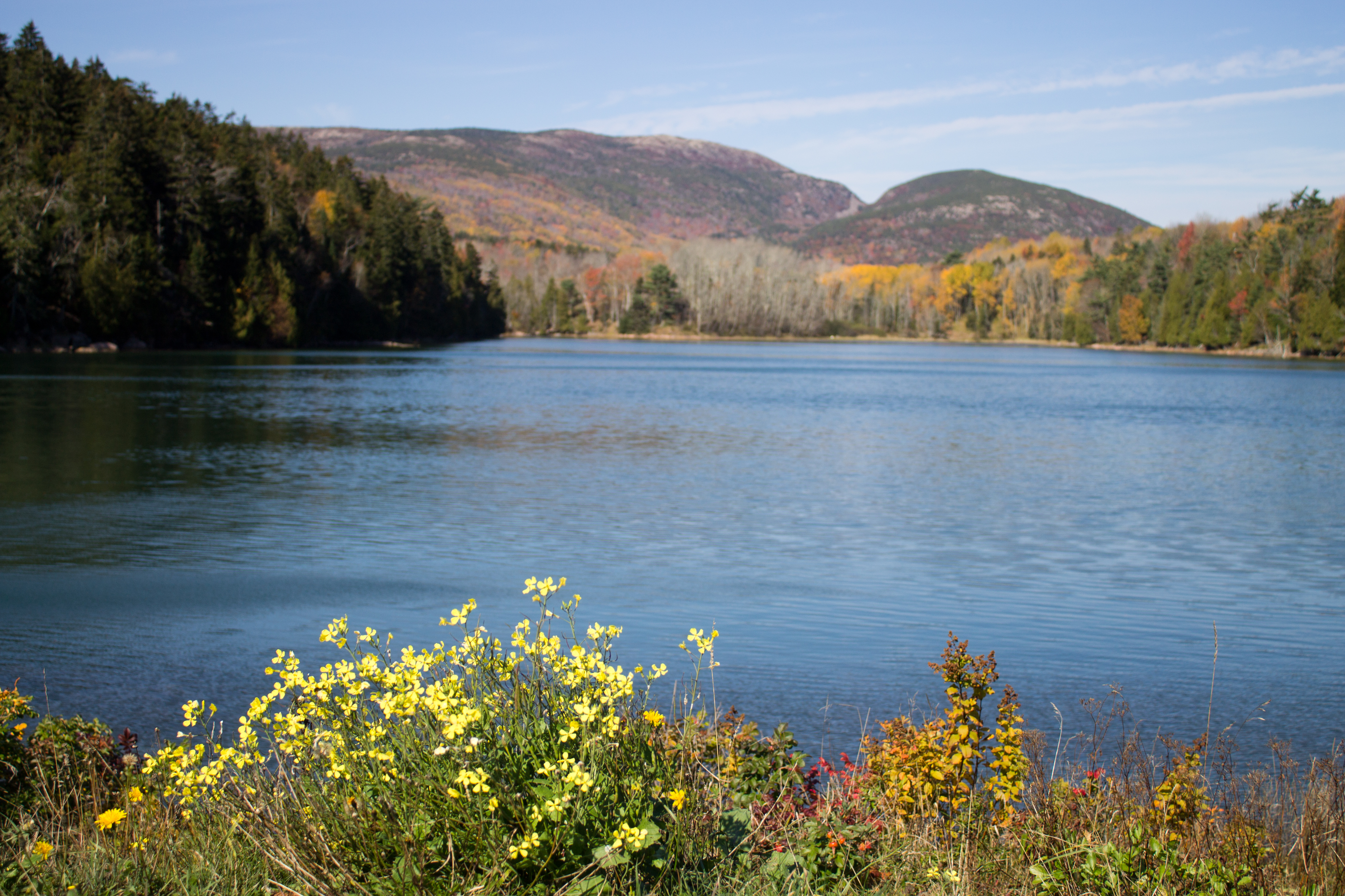 Acadia National Park, Mount Desert Island, Maine