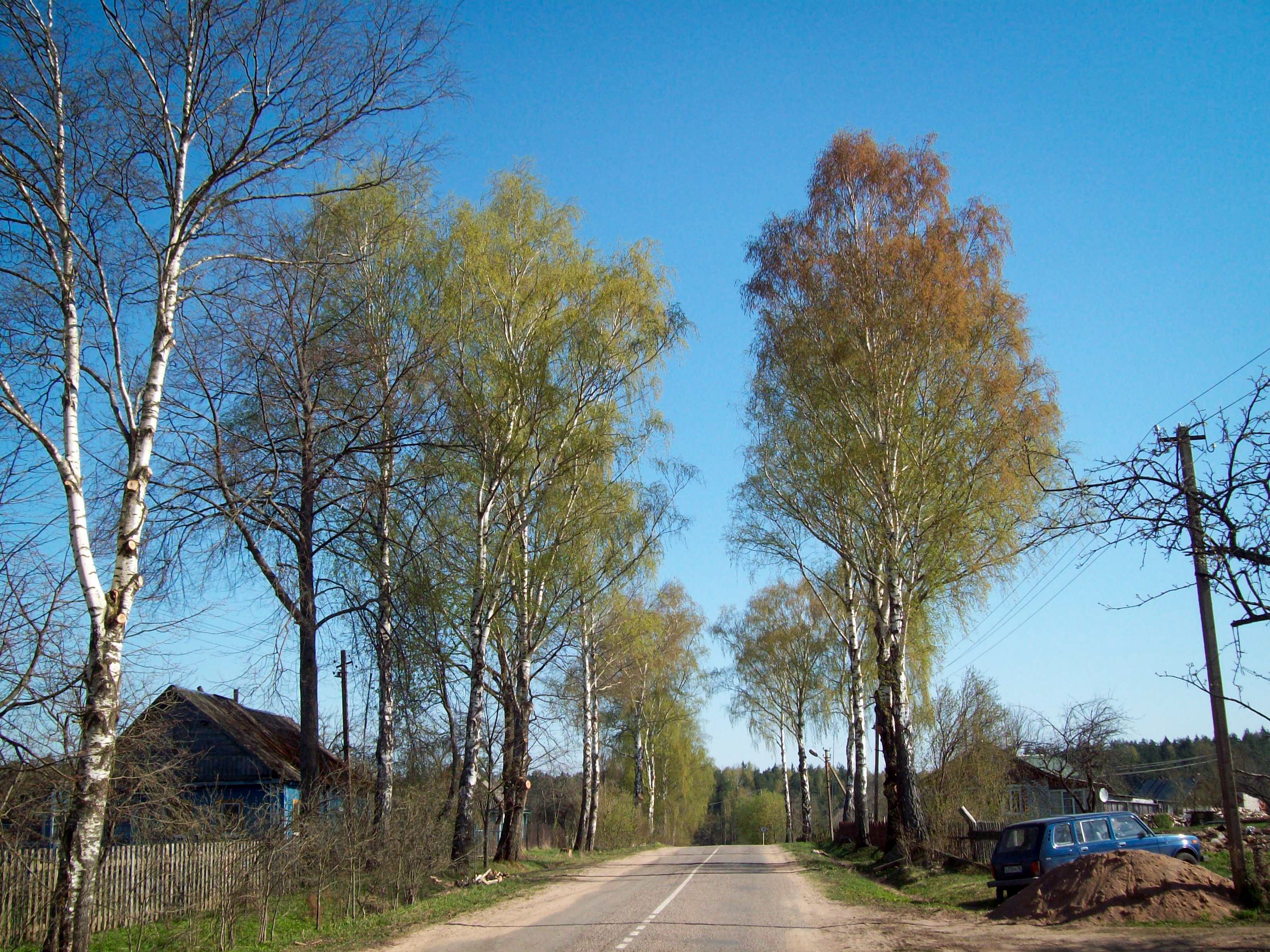 Road in the Pushkinskiye Gory