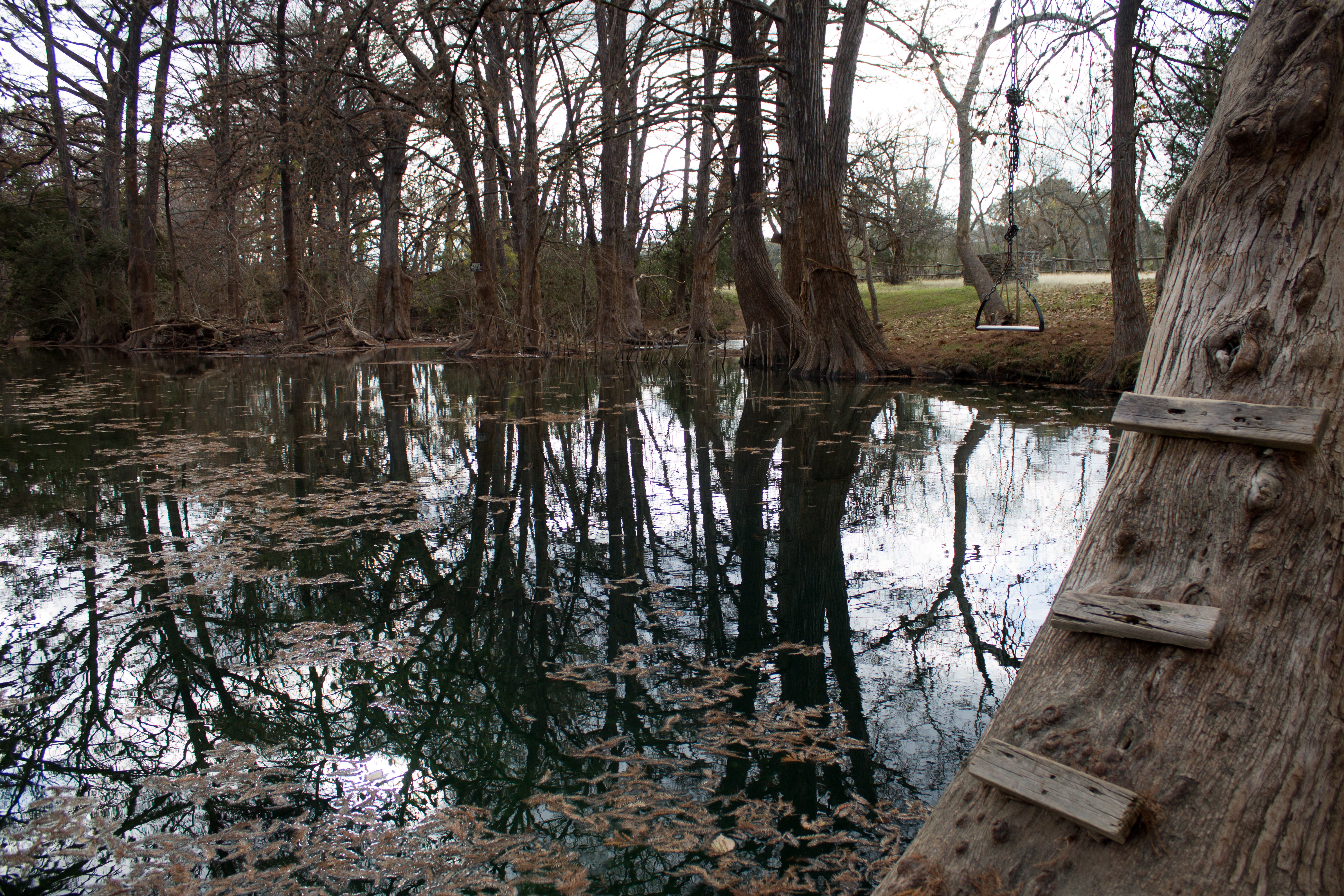 Blue Hole, Wimberley, Texas
