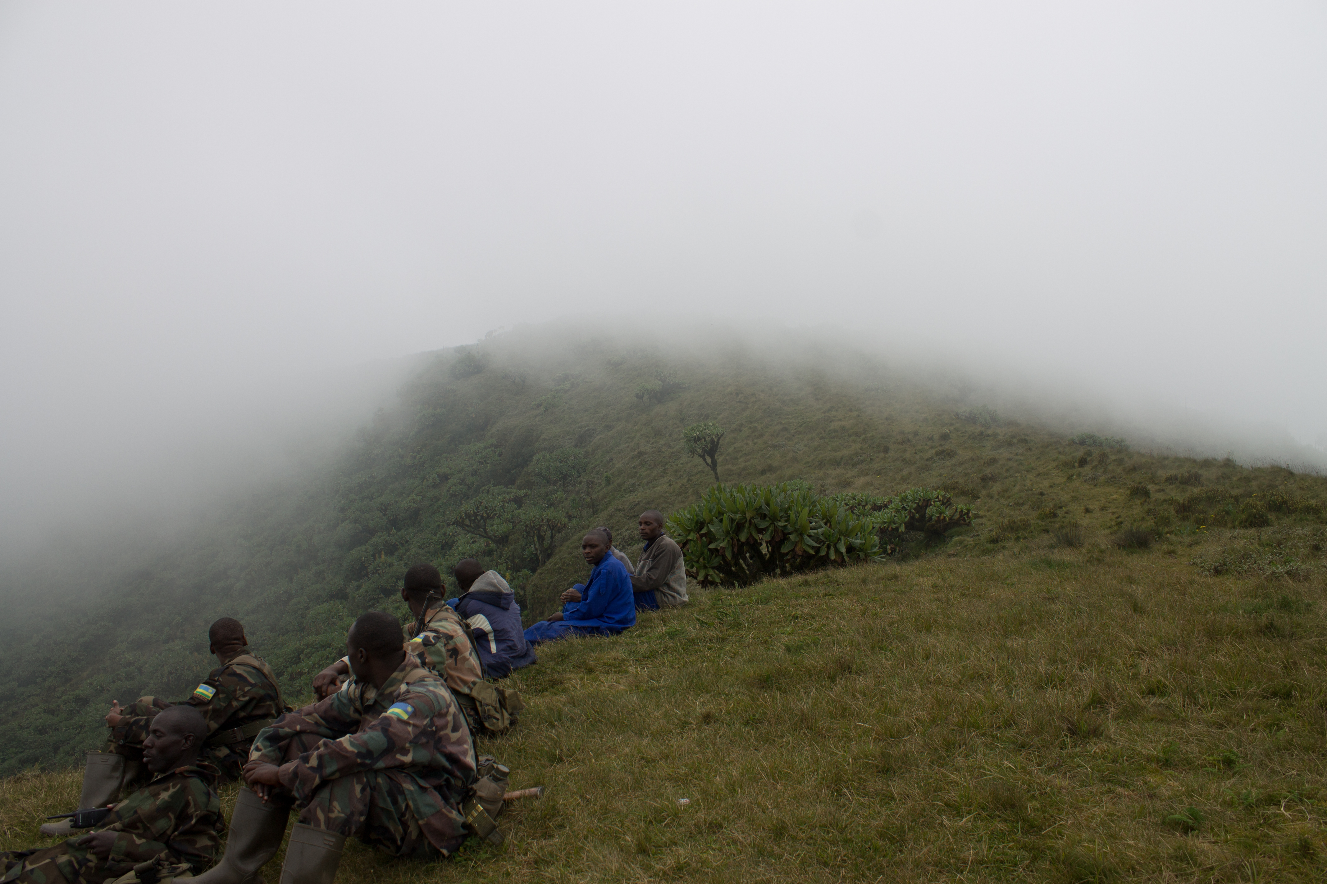 Guards, Mist, Bisoke Summit