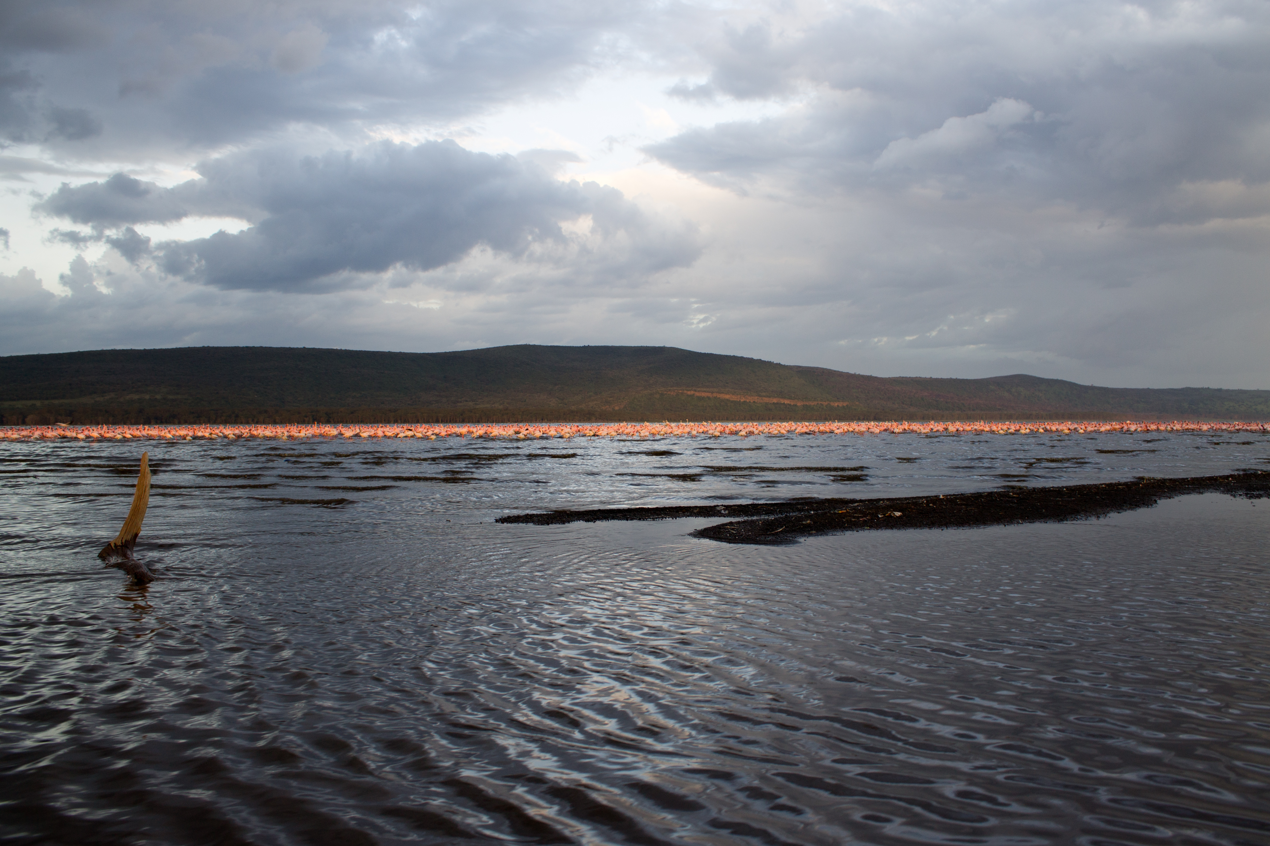 Ripples on Lake Nakuru