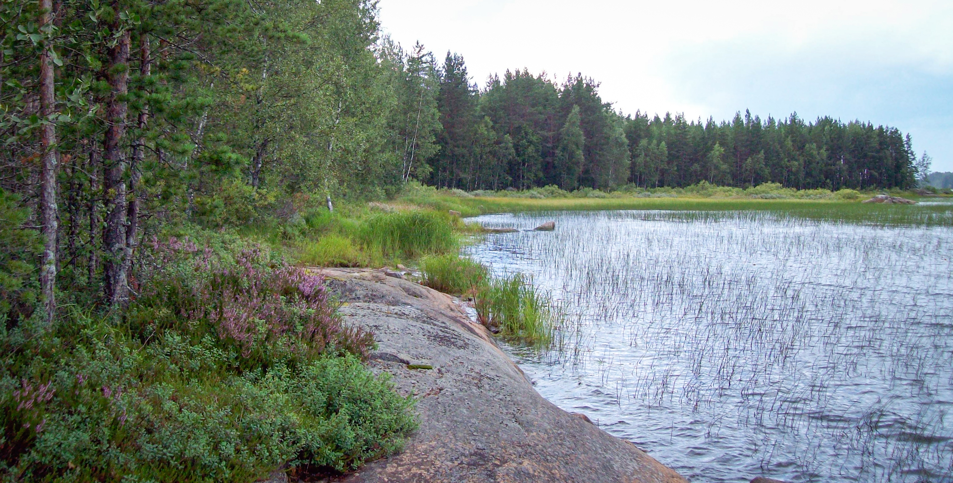 Finnish Wilderness