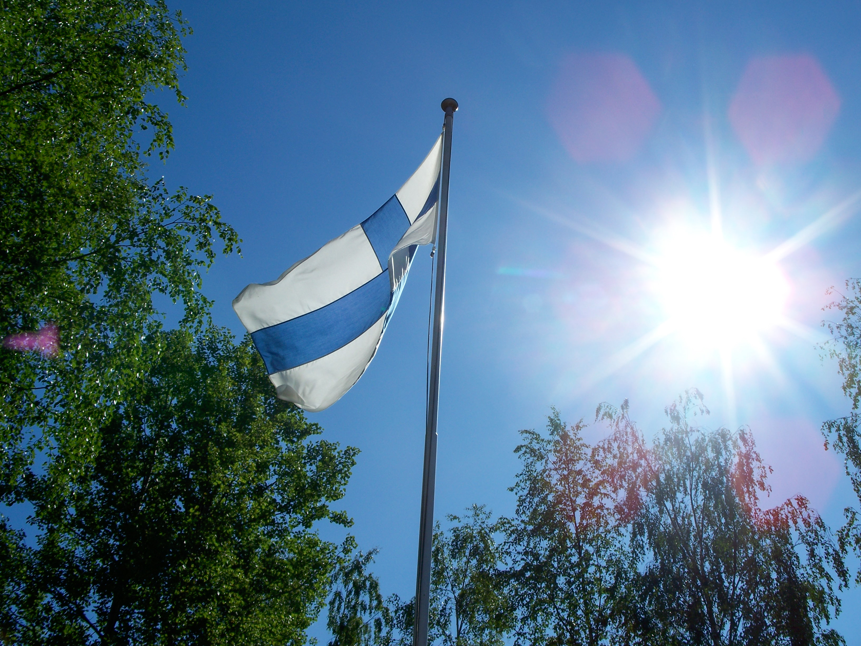 Finnish Flag