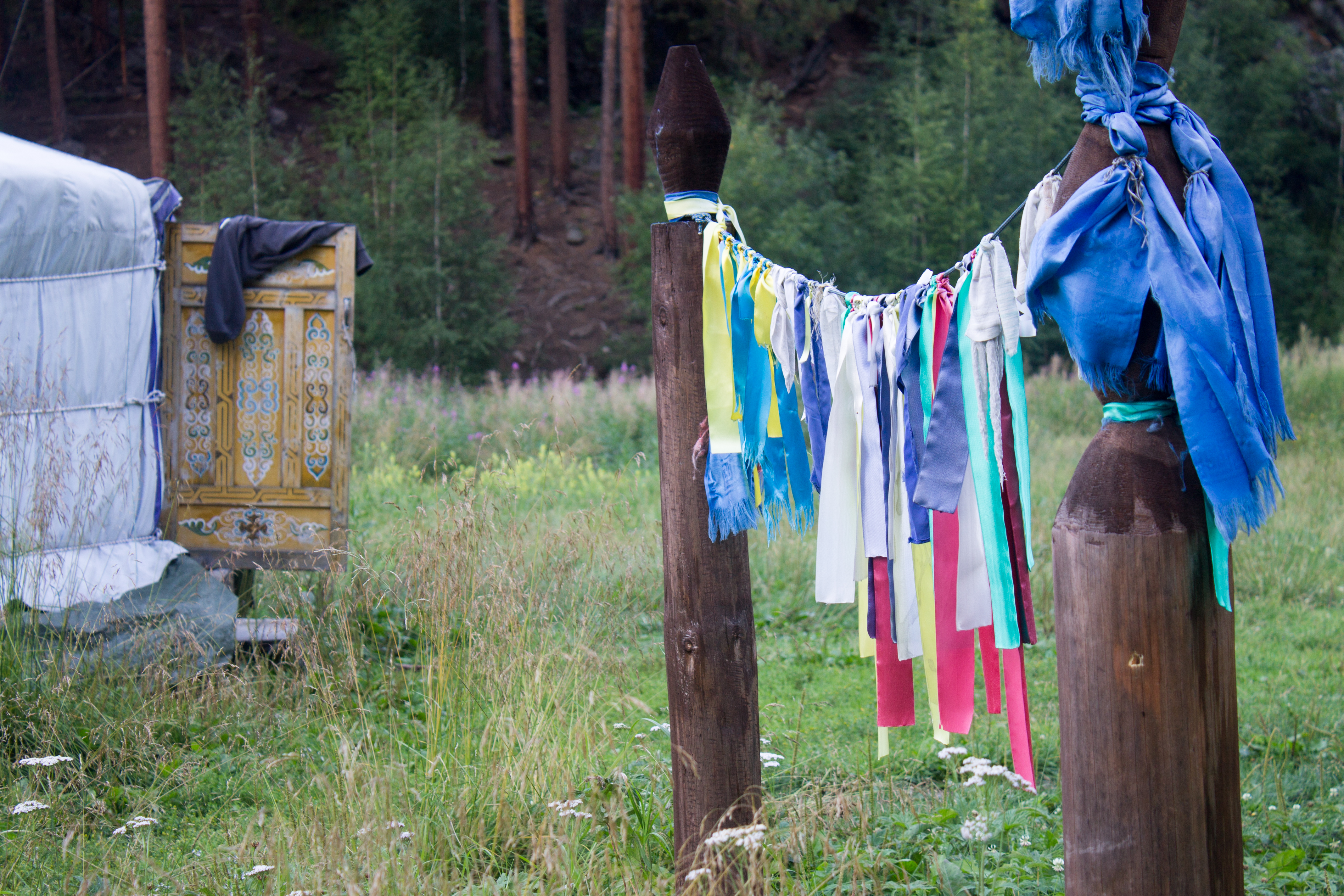 Yurt Door at the Campsite