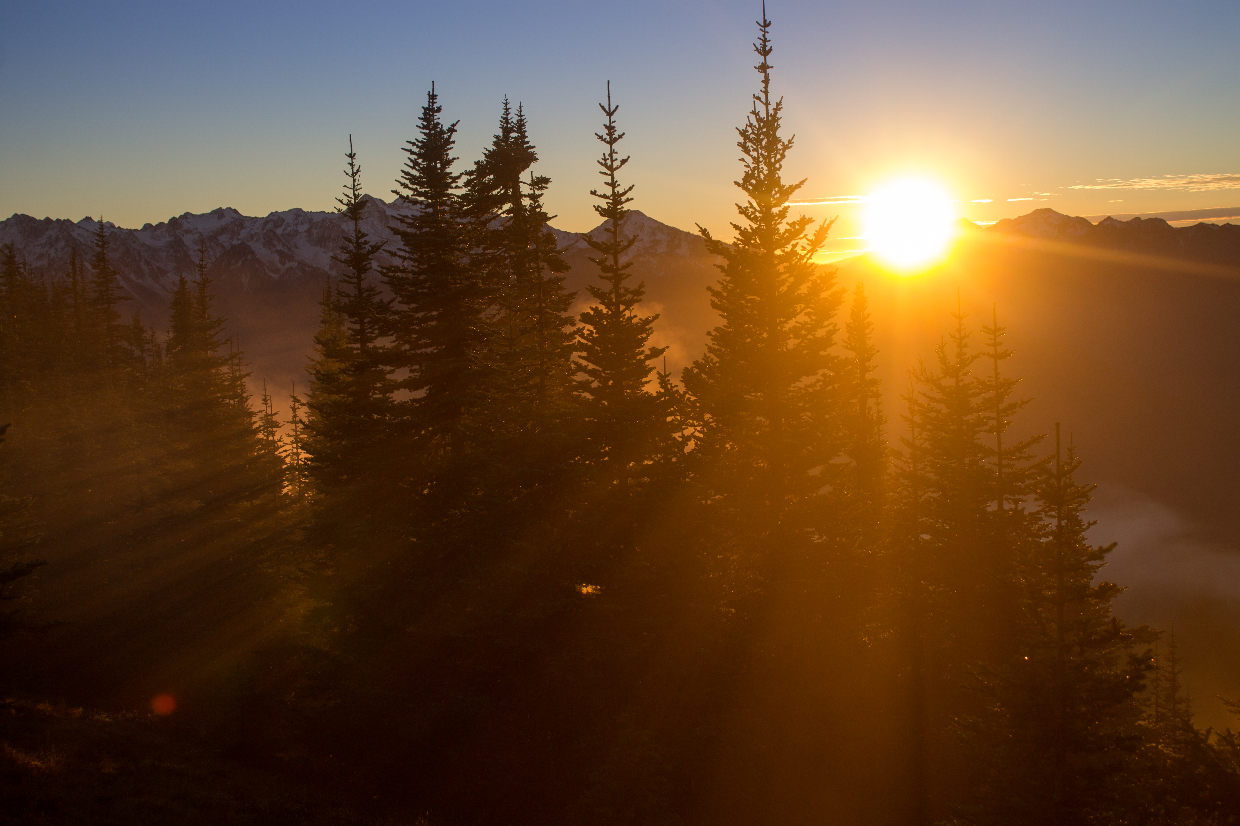 Hurricane Ridge Sunset
