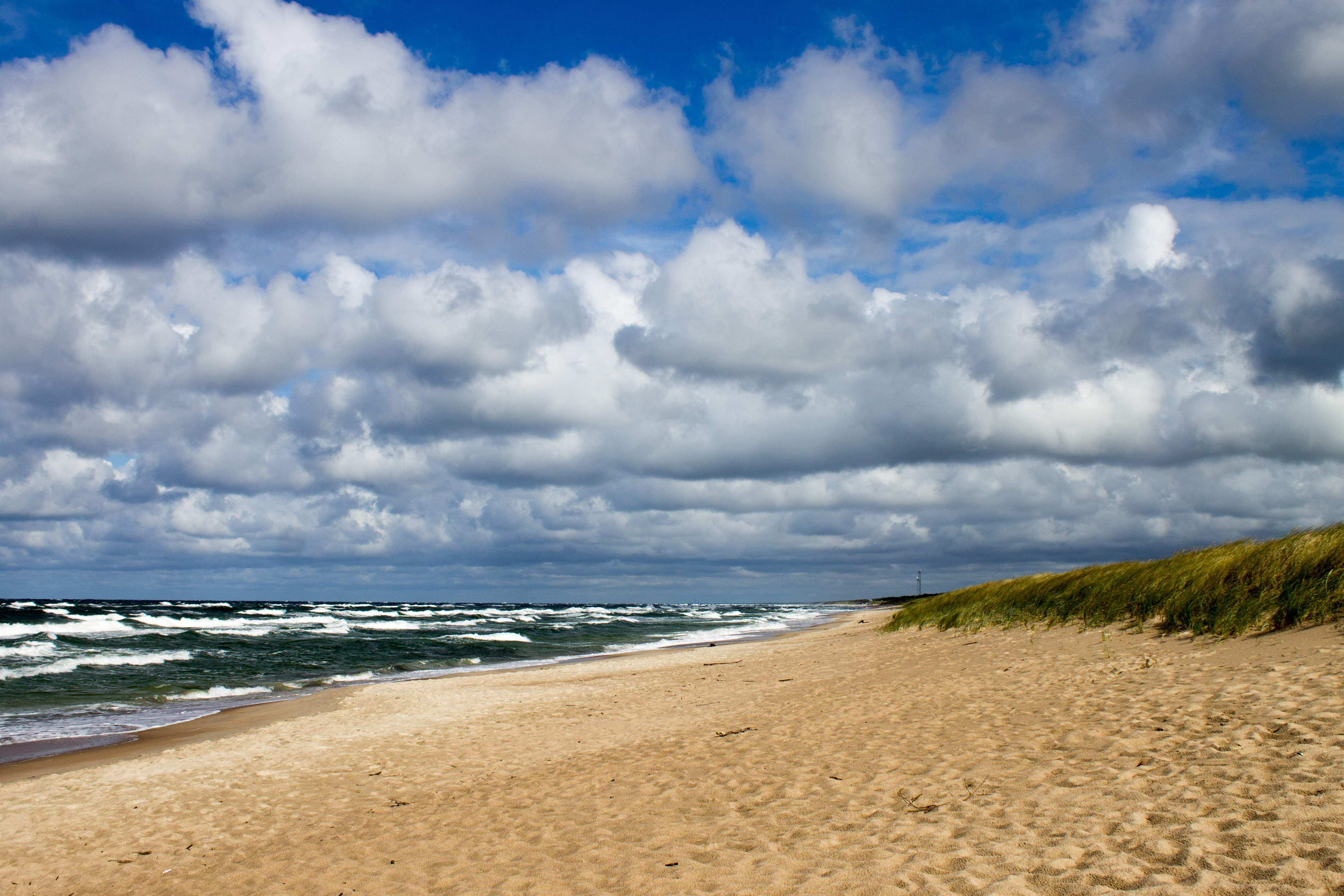 Curonian Spit Shore