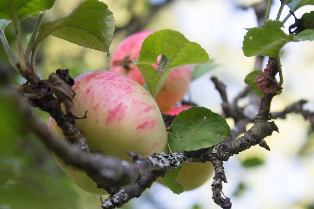 Finland! Know Before You&nbsp;Go.