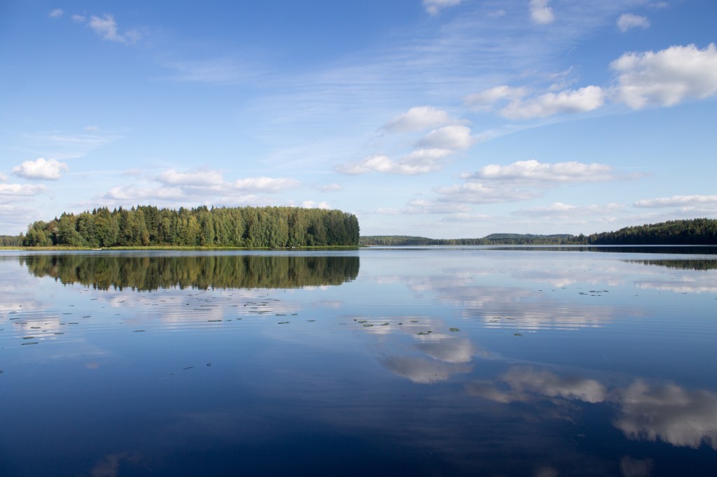 Steam Dark, Steam Light, Mushrooms,&nbsp;Night