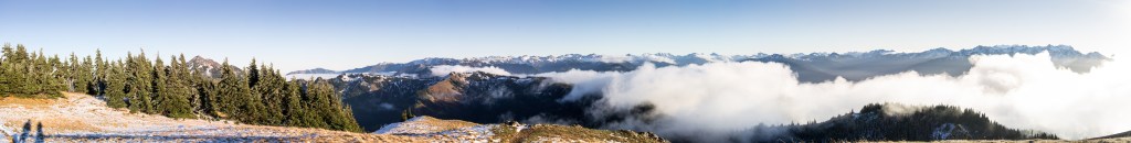 Hurricane Ridge Panorama