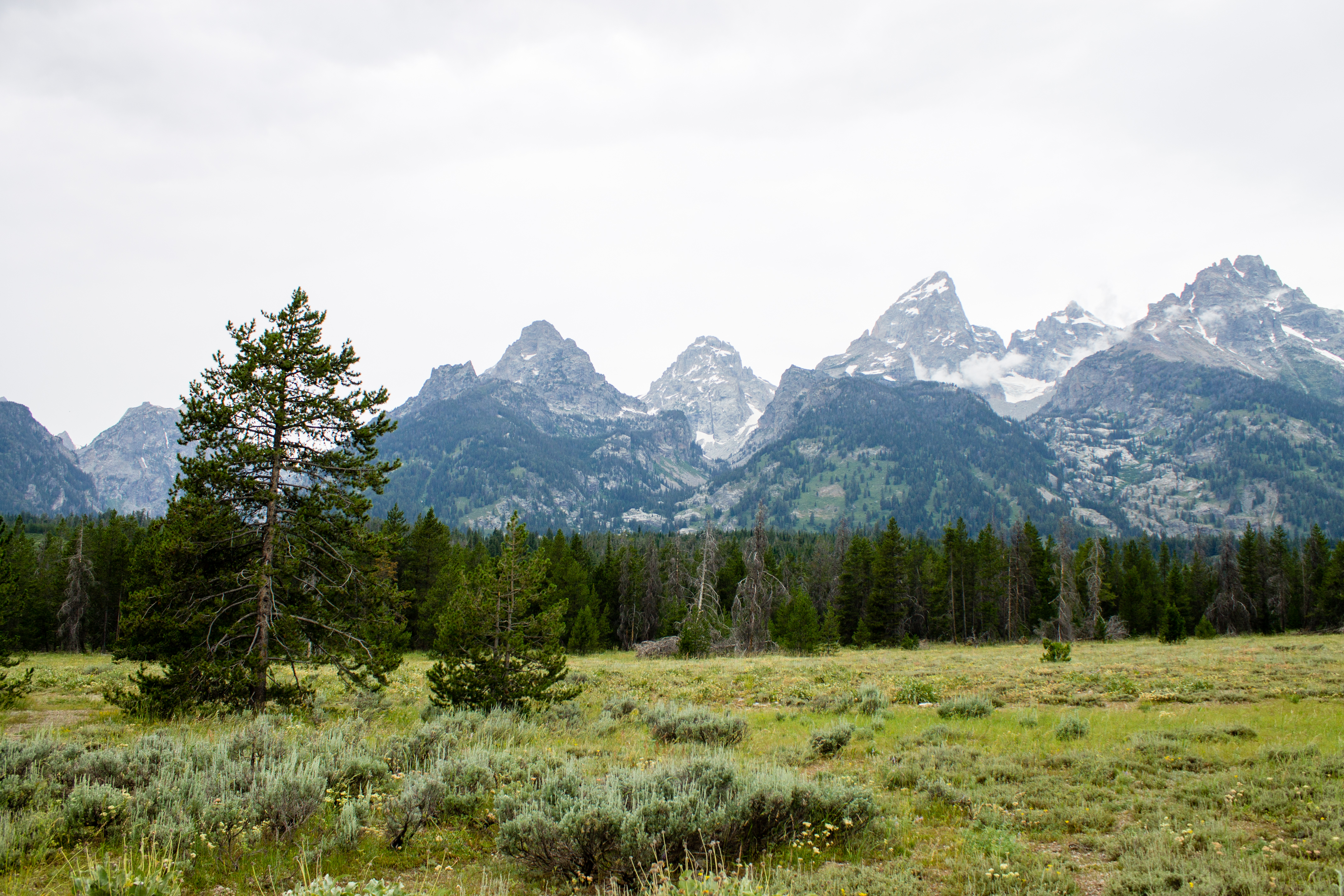 Grand Tetons