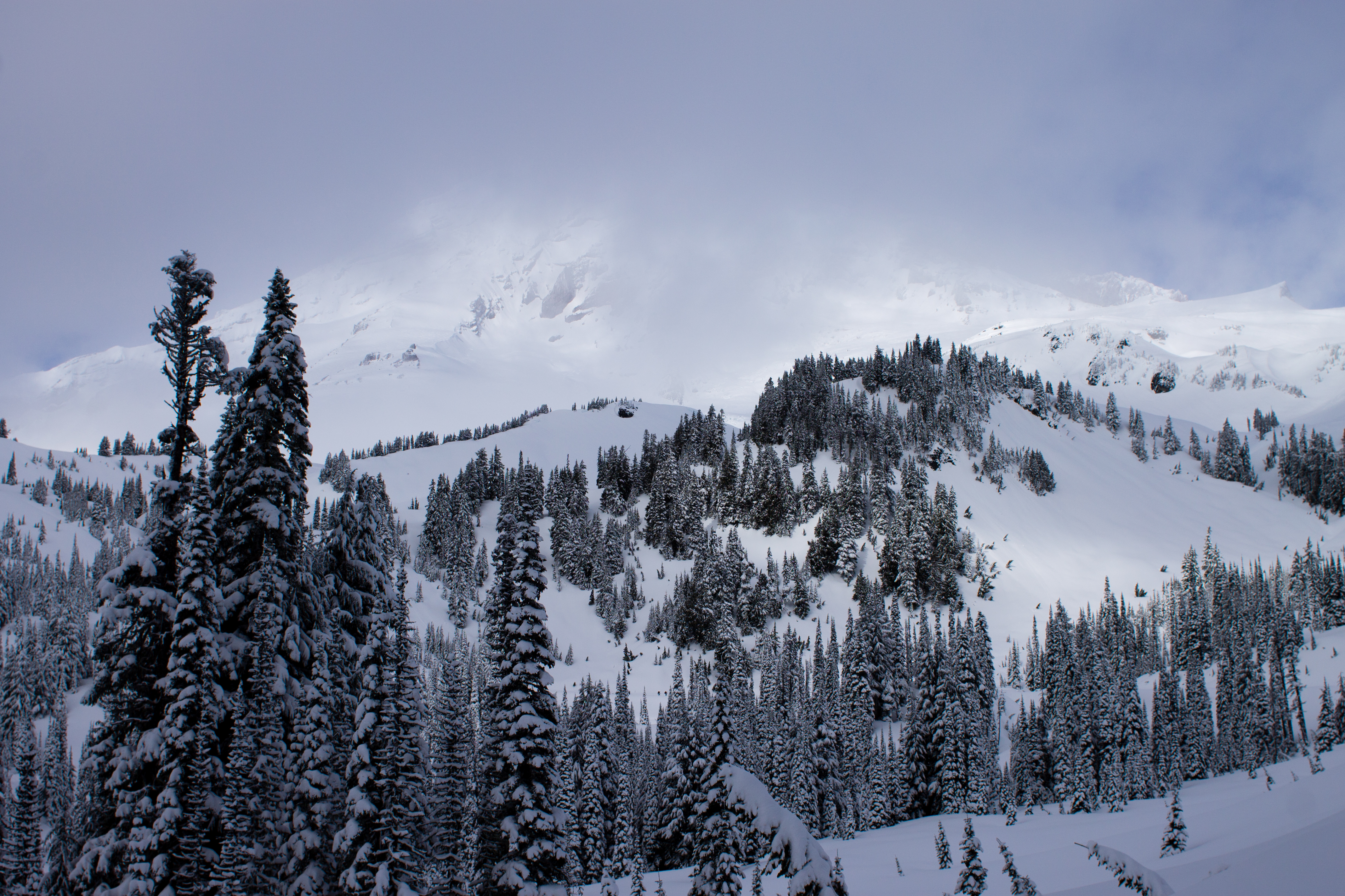 Mount Rainier Hiding