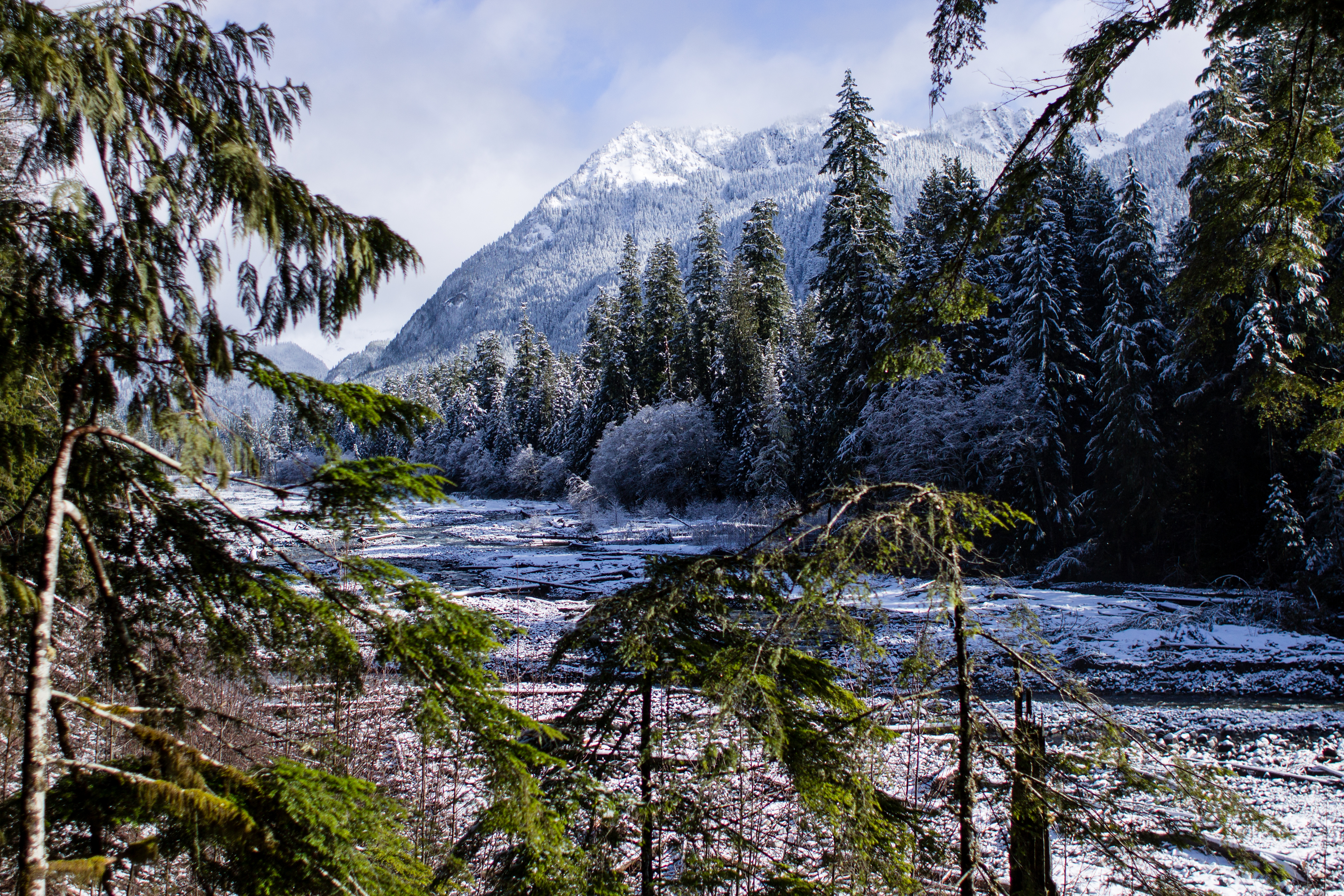 Ascending to Paradise