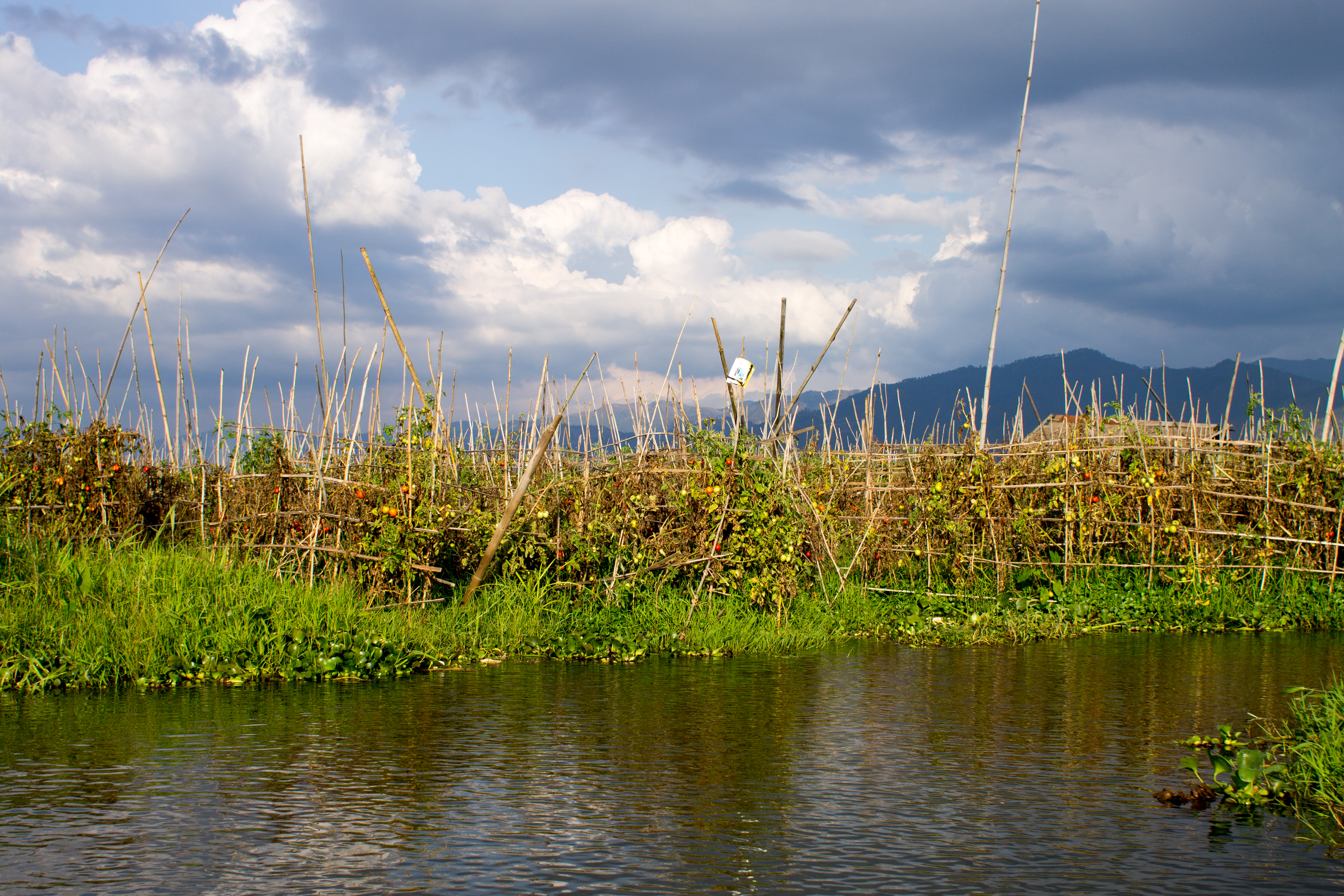 Floating Gardens Lake Inle