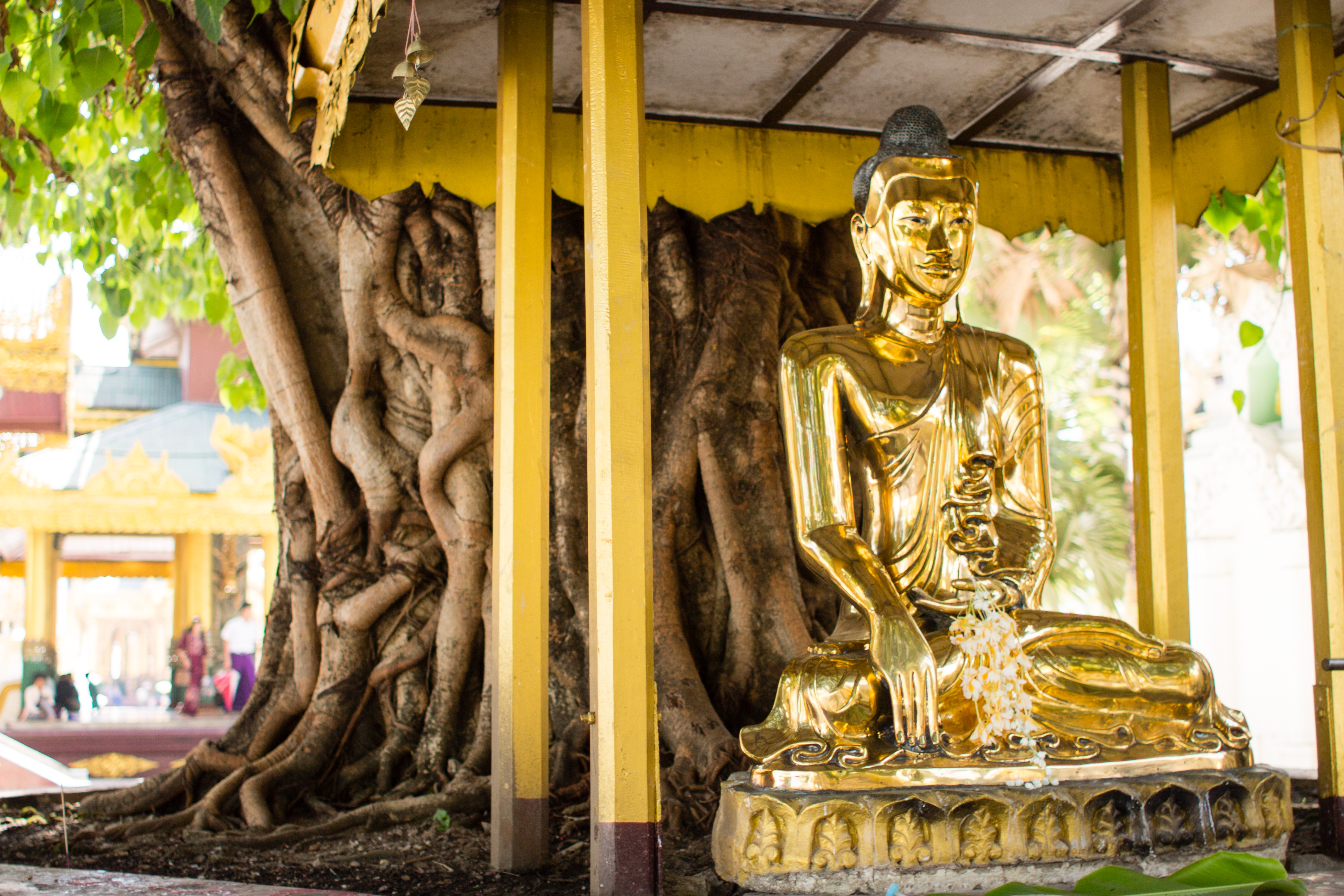 Buddha in Shwedagon