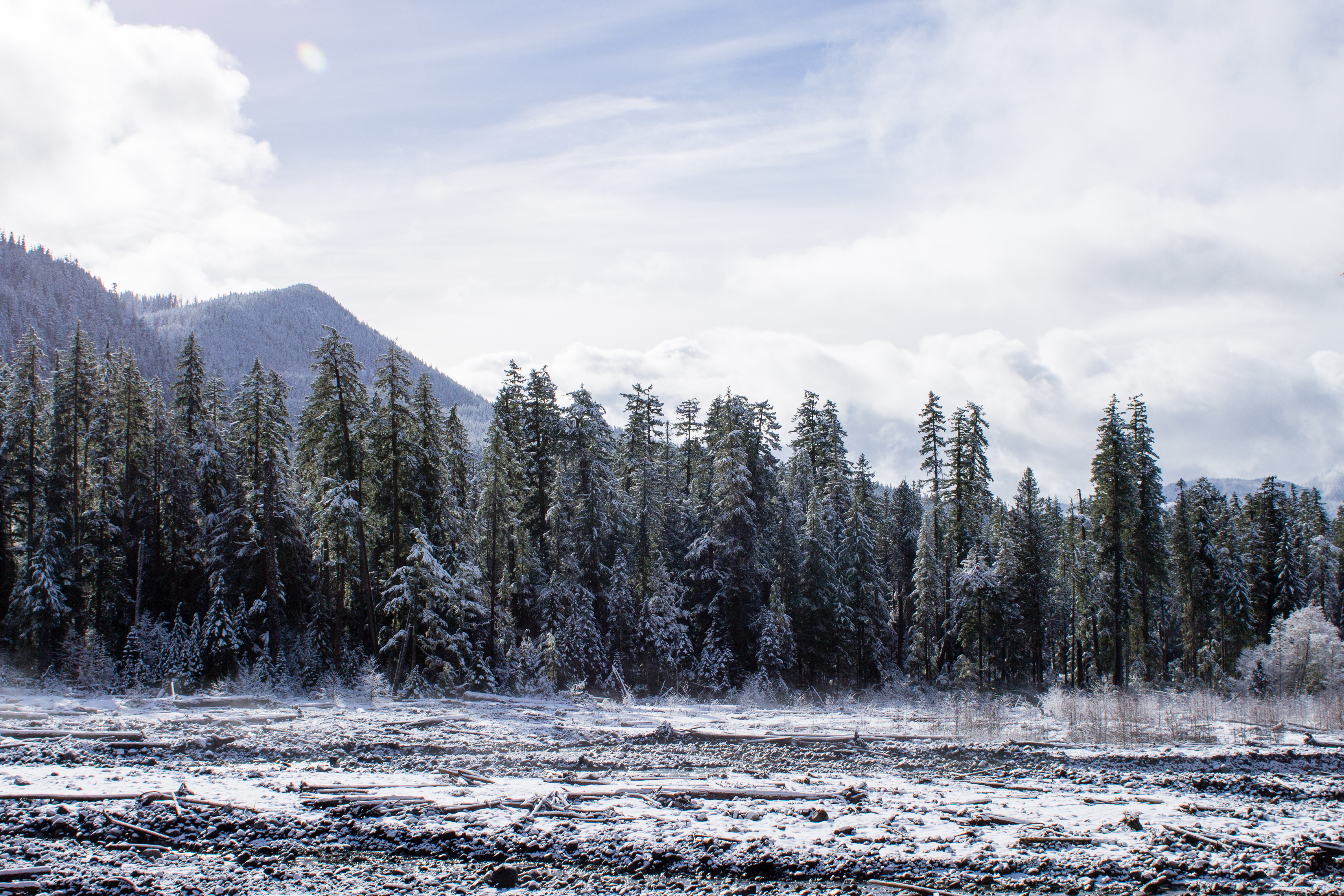 Snowy Riverbed near Rainier