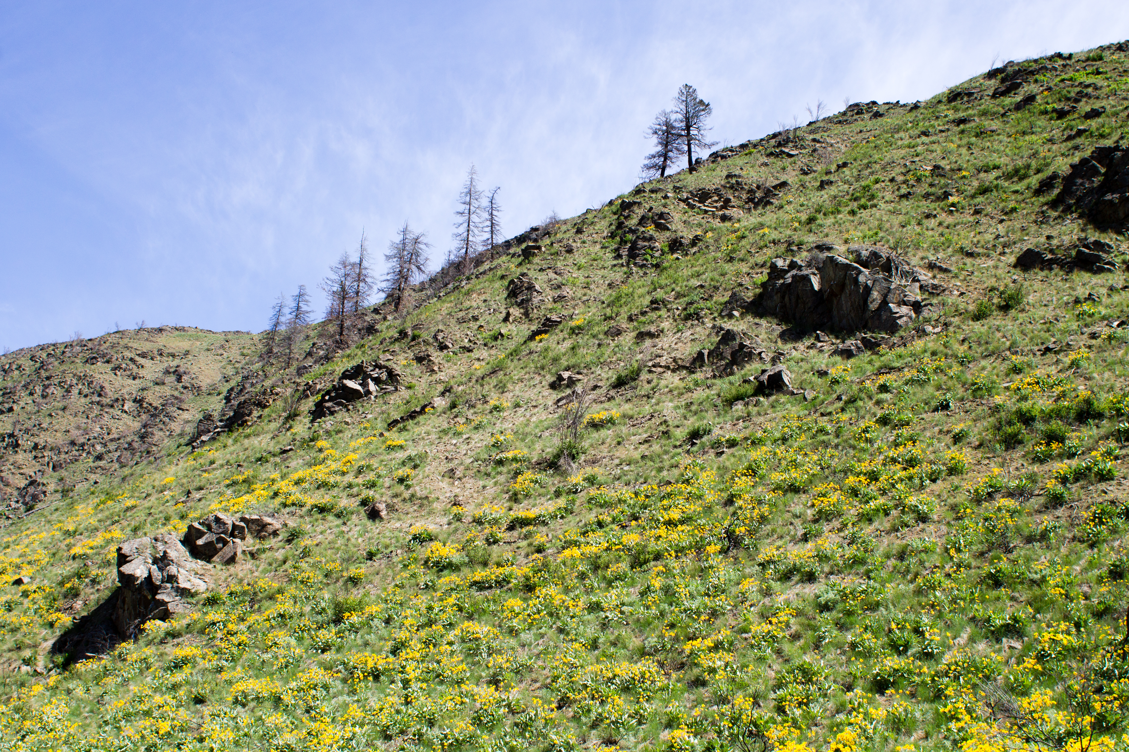 Pipestone Canyon Rim