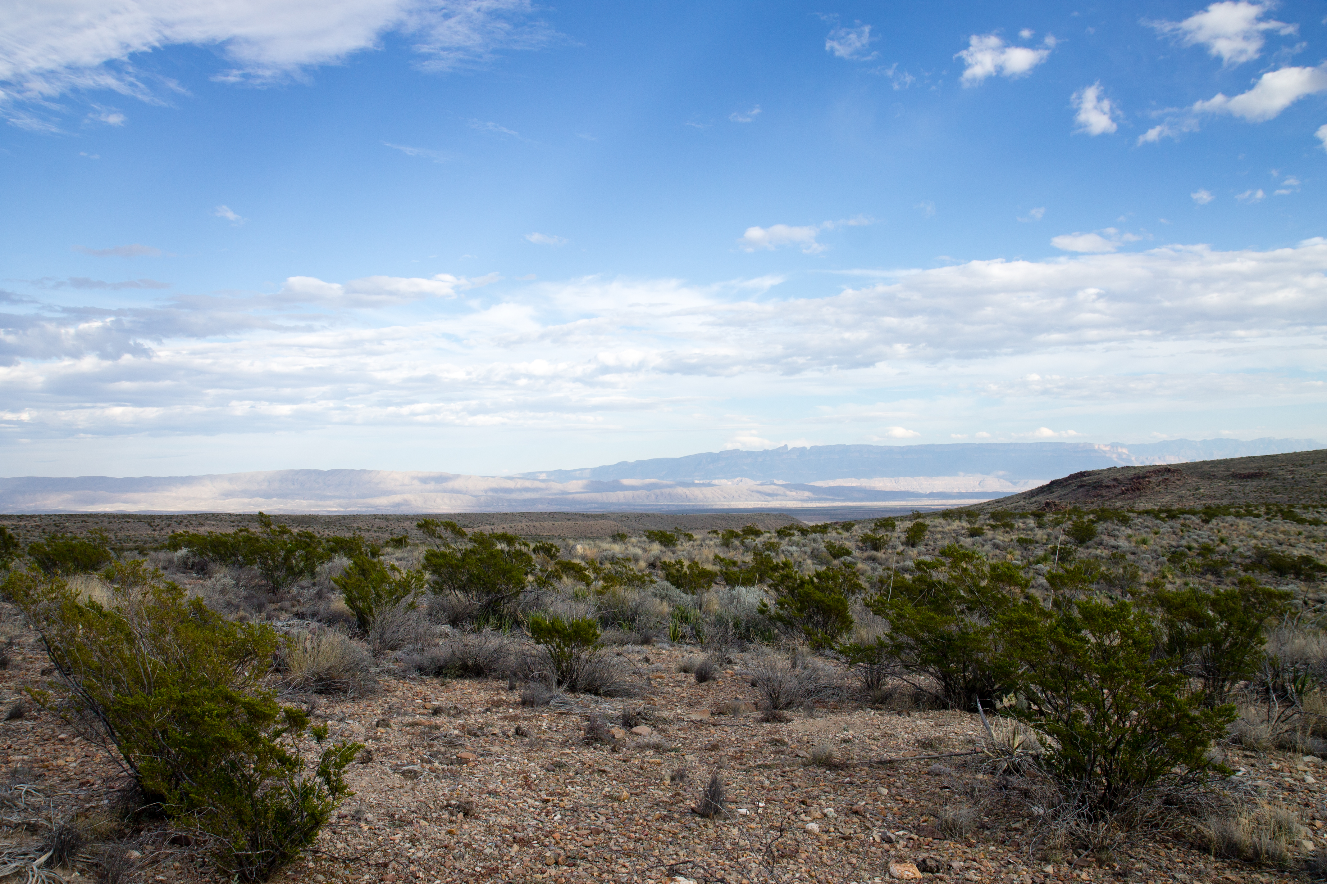Sierra del Carmen from Big Bend
