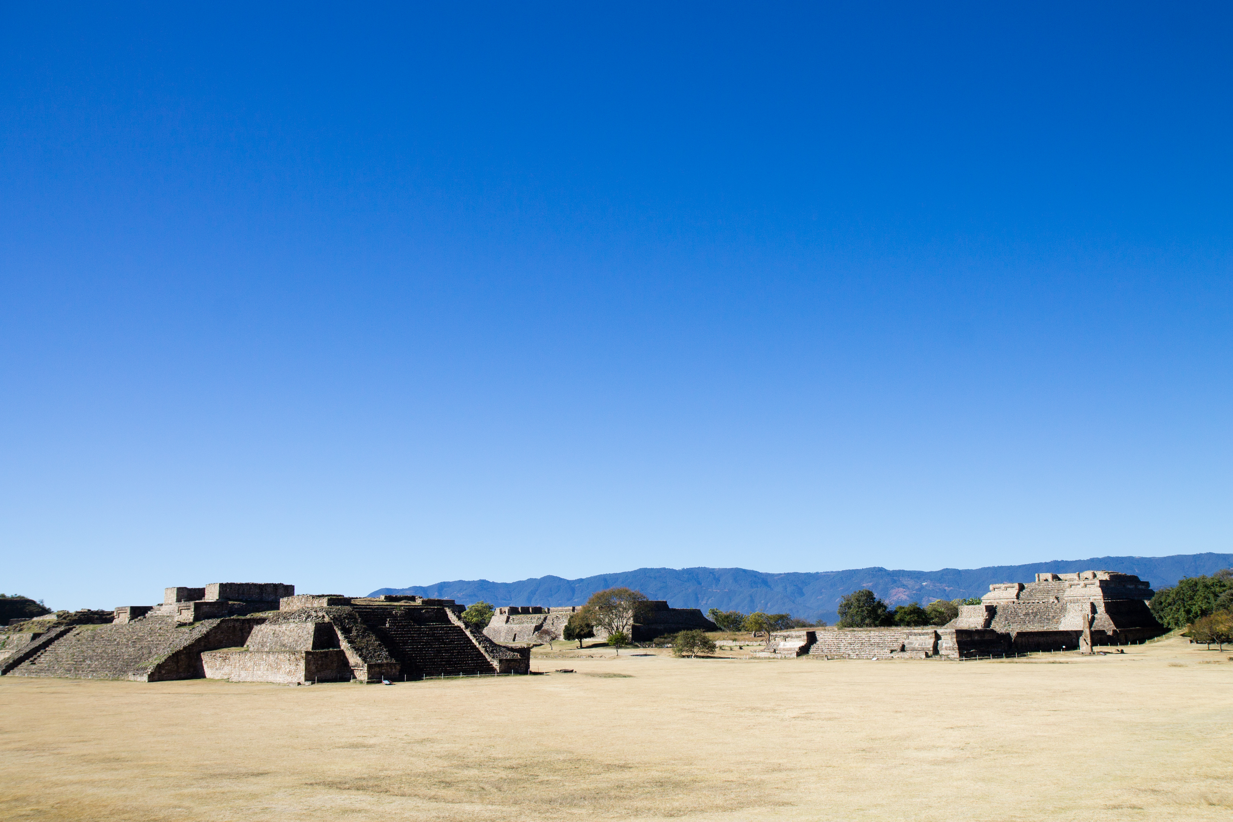 Monte Albán 1
