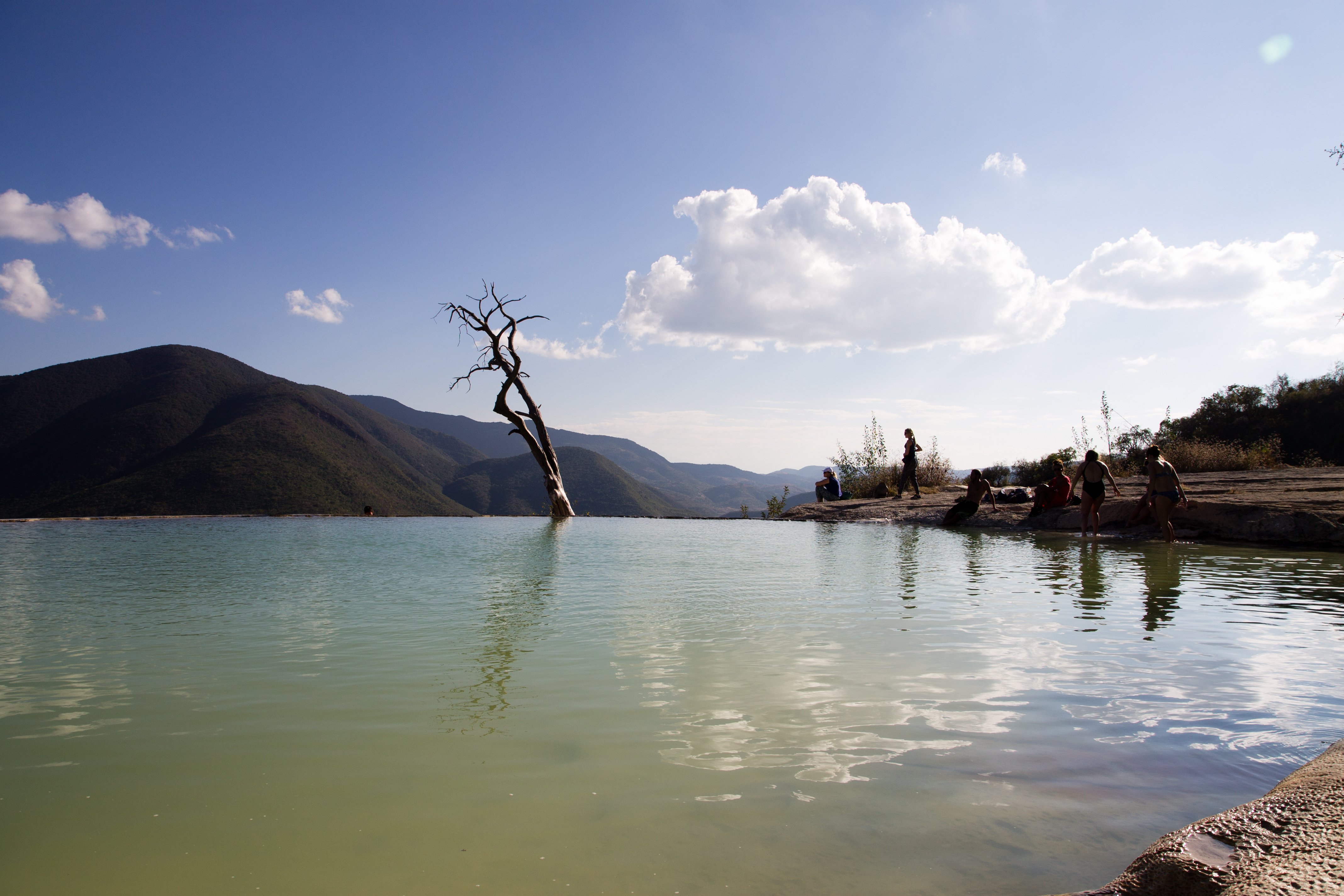 Tree, Pool, Tourists, Hierve el Agua