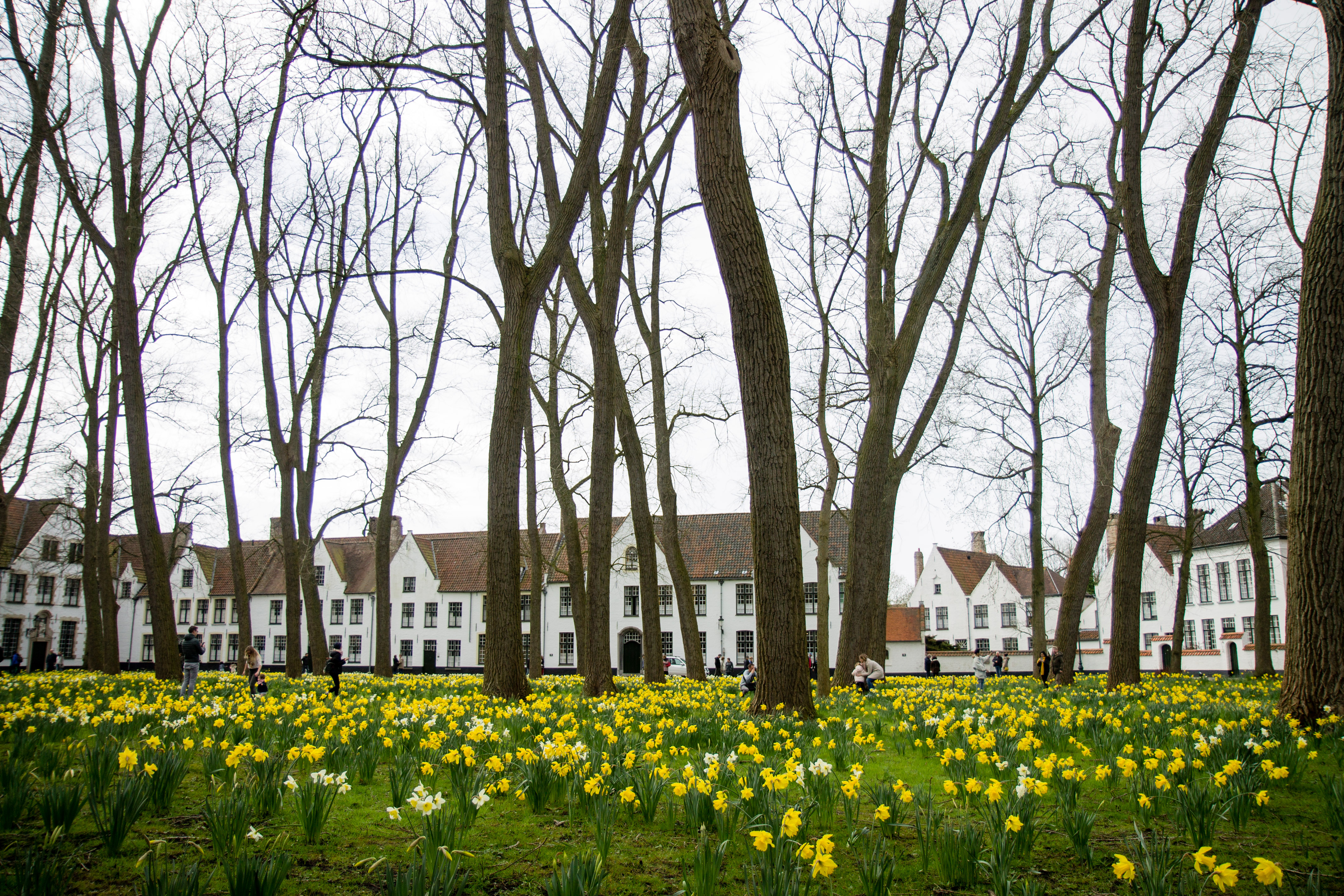 Begijnhuisje, Bruges