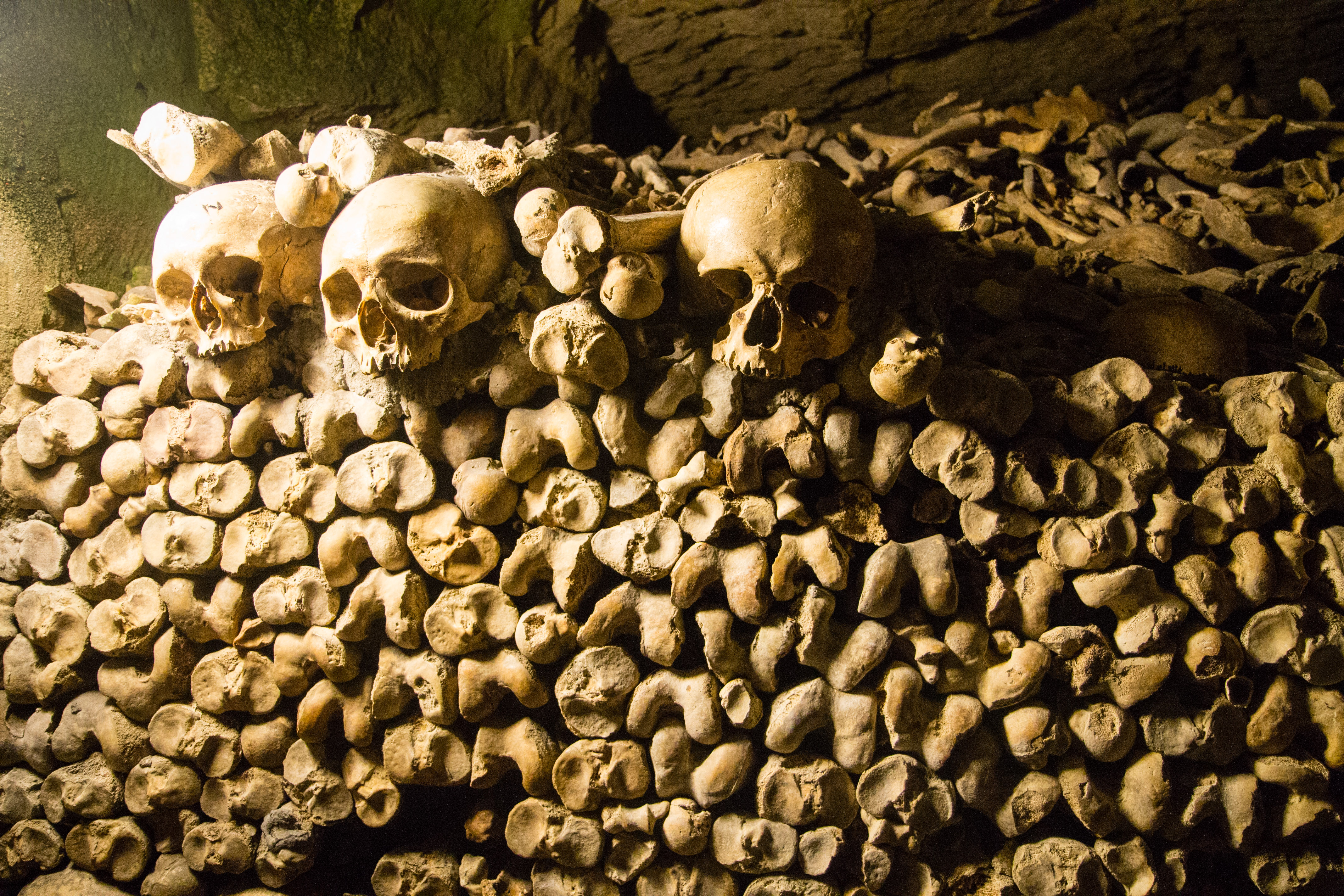Paris Catacombs I
