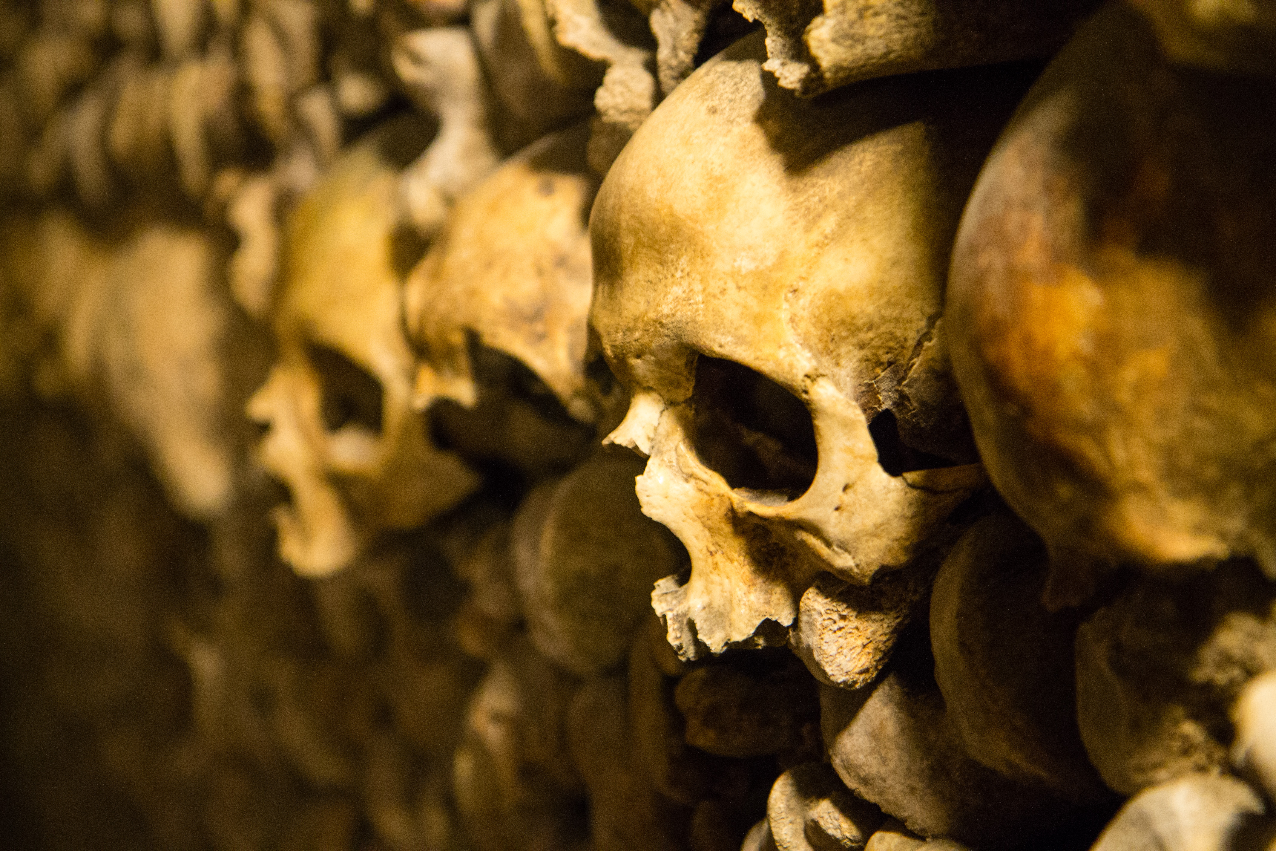 Paris Catacombs III