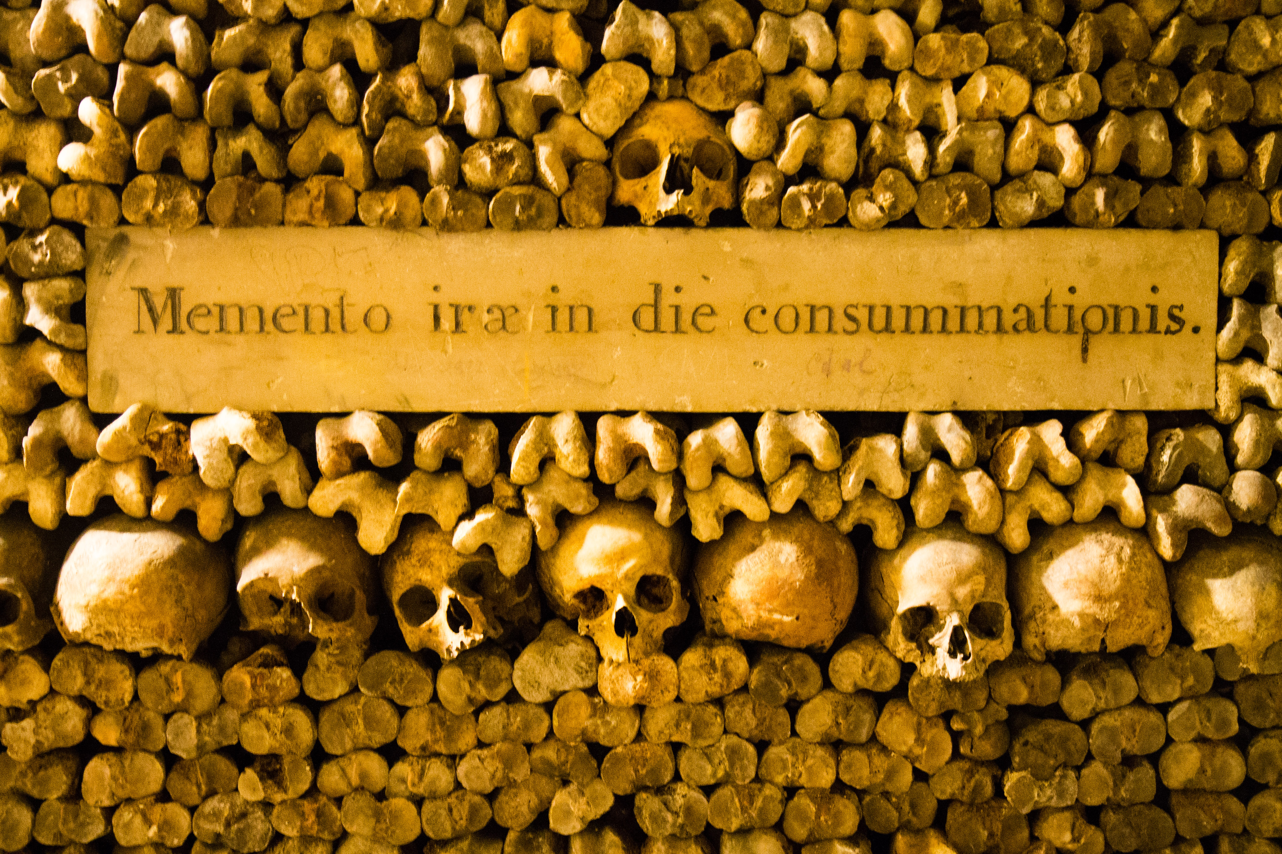 Paris Catacombs IV