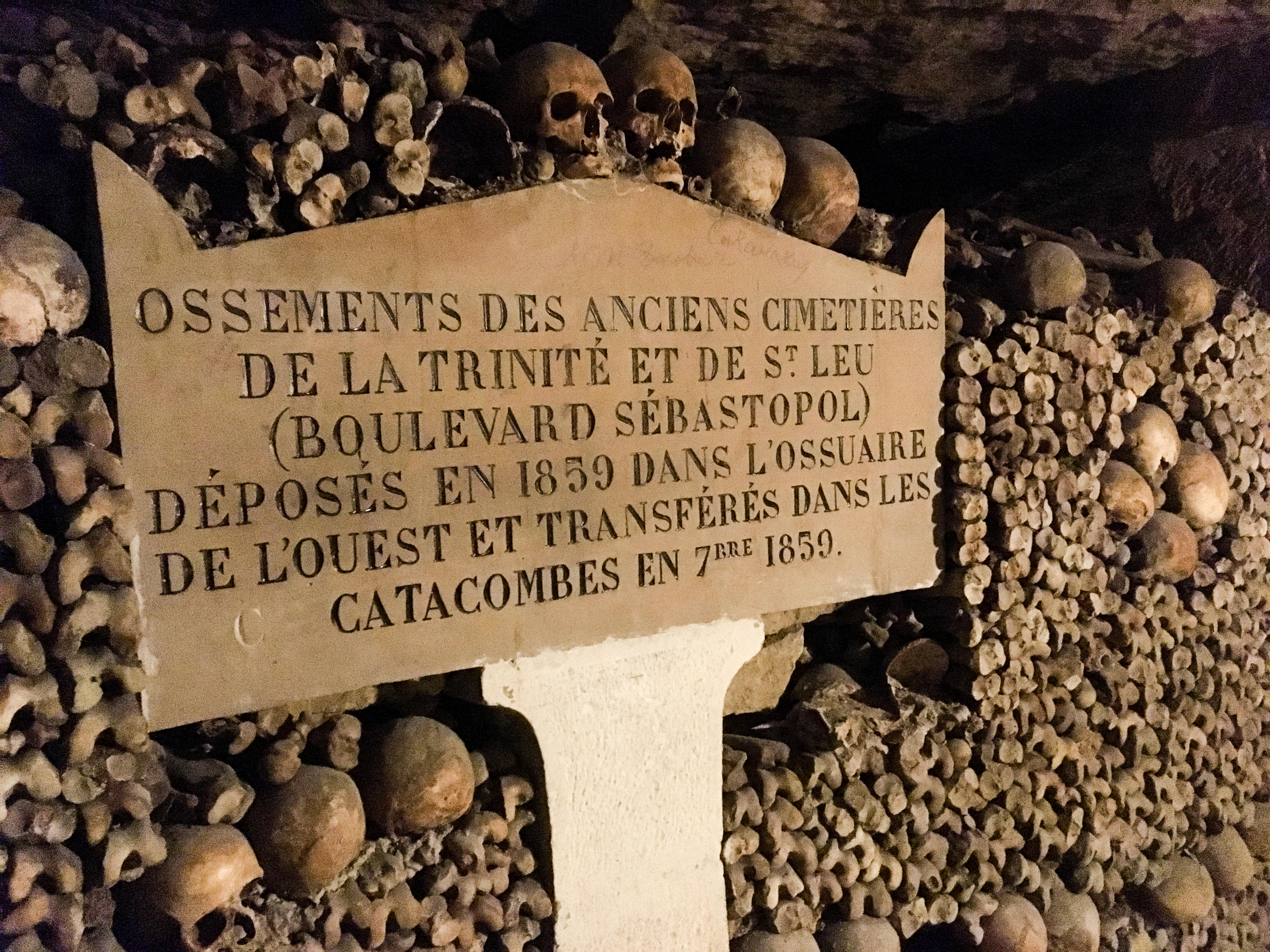 Paris Catacombs X